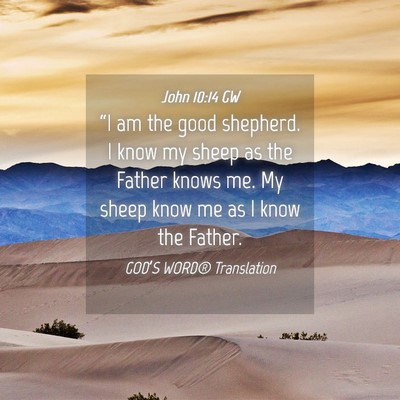 Picture 04 - John 10:14 GW - “I am the good shepherd. I know my sheep as the - Bible Verse Picture