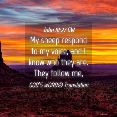 Picture 04 - John 10:27 GW - My sheep respond to my voice, and I know who they - Bible Verse Picture