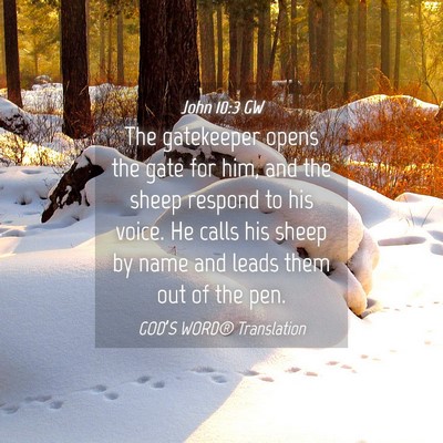 Picture 04 - John 10:3 GW - The gatekeeper opens the gate for him, and the - Bible Verse Picture