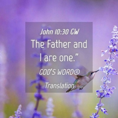 Picture 04 - John 10:30 GW - The Father and I are - Bible Verse Picture