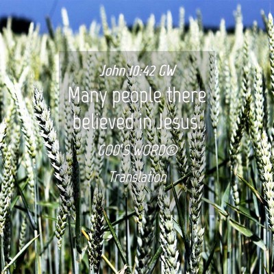 Picture 04 - John 10:42 GW - Many people there believed in - Bible Verse Picture