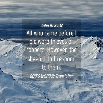Picture 04 - John 10:8 GW - All who came before I did were thieves or - Bible Verse Picture