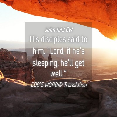 Picture 04 - John 11:12 GW - His disciples said to him, “Lord, if he’s - Bible Verse Picture