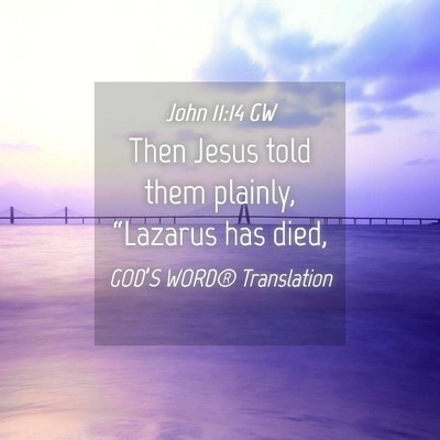 Picture 04 - John 11:14 GW - Then Jesus told them plainly, “Lazarus has - Bible Verse Picture