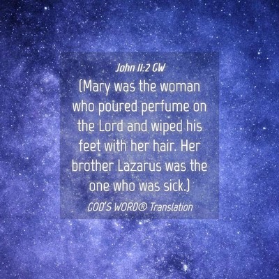 Picture 04 - John 11:2 GW - (Mary was the woman who poured perfume on the - Bible Verse Picture