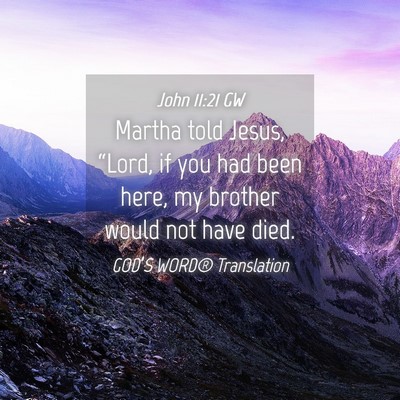 Picture 04 - John 11:21 GW - Martha told Jesus, “Lord, if you had been here, - Bible Verse Picture