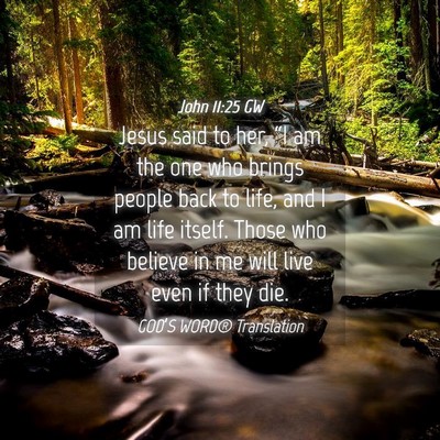 Picture 04 - John 11:25 GW - Jesus said to her, “I am the one who brings - Bible Verse Picture
