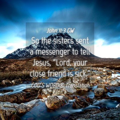 Picture 04 - John 11:3 GW - So the sisters sent a messenger to tell Jesus, - Bible Verse Picture