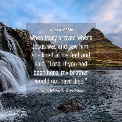 Picture 04 - John 11:32 GW - When Mary arrived where Jesus was and saw him, - Bible Verse Picture