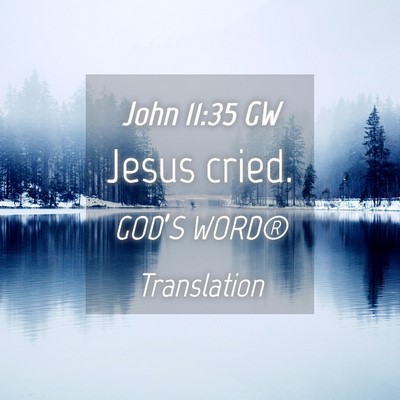 Picture 04 - John 11:35 GW - Jesus - Bible Verse Picture