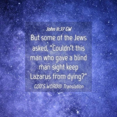 Picture 04 - John 11:37 GW - But some of the Jews asked, “Couldn’t this - Bible Verse Picture