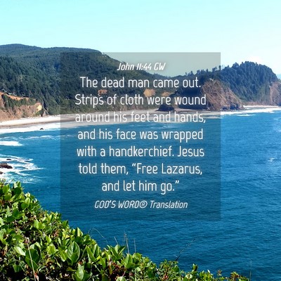 Picture 04 - John 11:44 GW - The dead man came out. Strips of cloth were wound - Bible Verse Picture