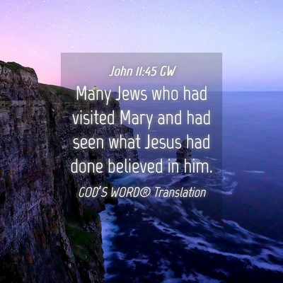 Picture 04 - John 11:45 GW - Many Jews who had visited Mary and had seen what - Bible Verse Picture