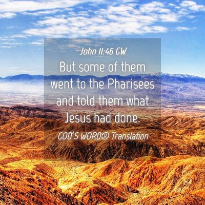 Picture 04 - John 11:46 GW - But some of them went to the Pharisees and told - Bible Verse Picture
