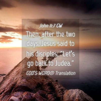 Picture 04 - John 11:7 GW - Then, after the two days, Jesus said to his - Bible Verse Picture