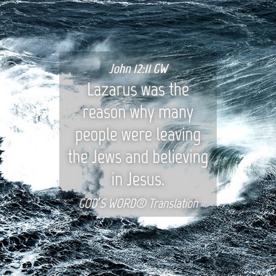 Picture 04 - John 12:11 GW - Lazarus was the reason why many people were - Bible Verse Picture