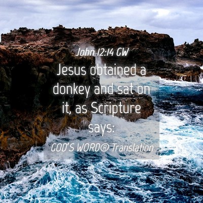 Picture 04 - John 12:14 GW - Jesus obtained a donkey and sat on it, as - Bible Verse Picture