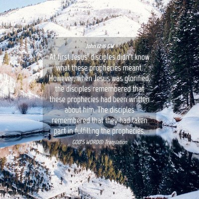 Picture 04 - John 12:16 GW - At first Jesus’ disciples didn’t know what - Bible Verse Picture