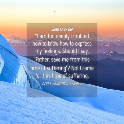 Picture 04 - John 12:27 GW - “I am too deeply troubled now to know how to - Bible Verse Picture