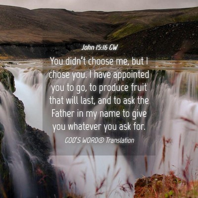 Picture 04 - John 15:16 GW - You didn’t choose me, but I chose you. I have - Bible Verse Picture