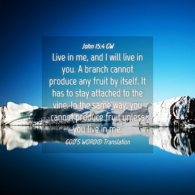 Picture 04 - John 15:4 GW - Live in me, and I will live in you. A branch - Bible Verse Picture