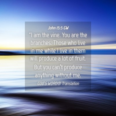 Picture 04 - John 15:5 GW - “I am the vine. You are the branches. Those who - Bible Verse Picture