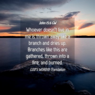 Picture 04 - John 15:6 GW - Whoever doesn’t live in me is thrown away like - Bible Verse Picture