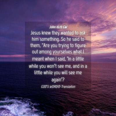 Picture 04 - John 16:19 GW - Jesus knew they wanted to ask him something. So - Bible Verse Picture