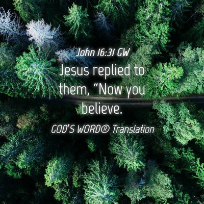 Picture 04 - John 16:31 GW - Jesus replied to them, “Now you - Bible Verse Picture