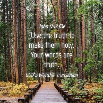 Picture 04 - John 17:17 GW - “Use the truth to make them holy. Your words - Bible Verse Picture