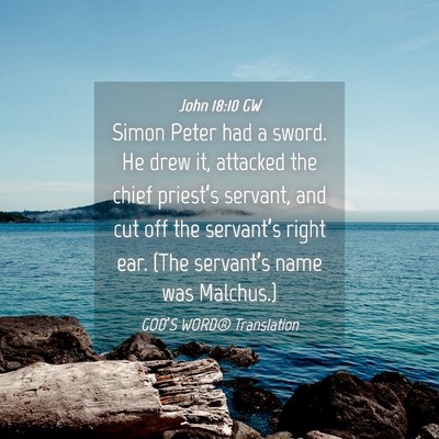 Picture 04 - John 18:10 GW - Simon Peter had a sword. He drew it, attacked the - Bible Verse Picture
