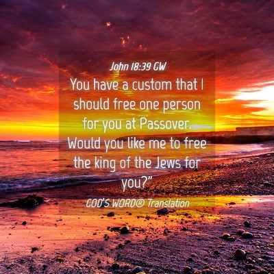 Picture 04 - John 18:39 GW - You have a custom that I should free one person - Bible Verse Picture