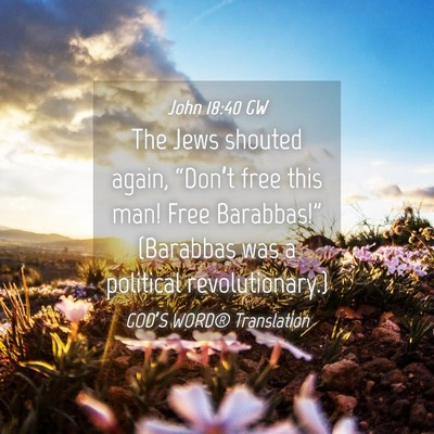 Picture 04 - John 18:40 GW - The Jews shouted again, “Don’t free this man! - Bible Verse Picture