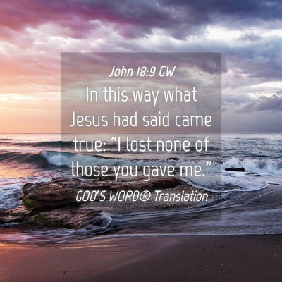 Picture 04 - John 18:9 GW - In this way what Jesus had said came true: “I - Bible Verse Picture