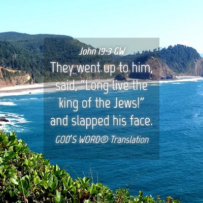 Picture 04 - John 19:3 GW - They went up to him, said, “Long live the king - Bible Verse Picture