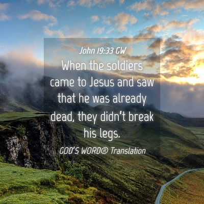 Picture 04 - John 19:33 GW - When the soldiers came to Jesus and saw that he - Bible Verse Picture