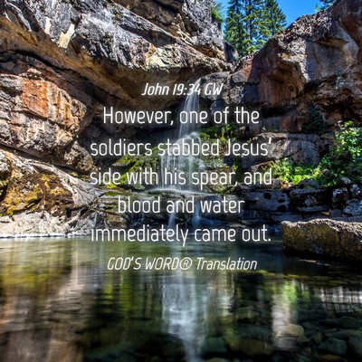 Picture 04 - John 19:34 GW - However, one of the soldiers stabbed Jesus’ - Bible Verse Picture