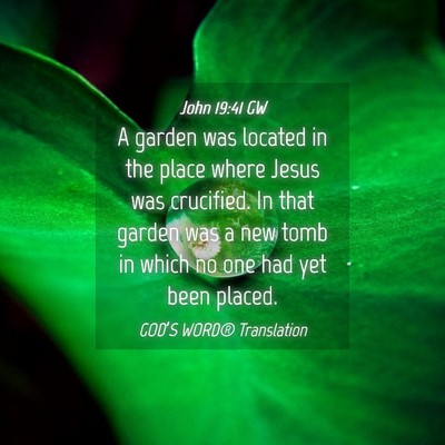 Picture 04 - John 19:41 GW - A garden was located in the place where Jesus was - Bible Verse Picture