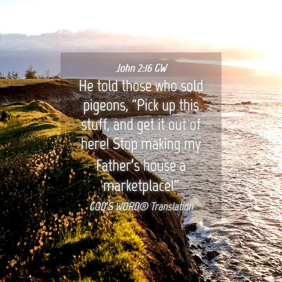 Picture 04 - John 2:16 GW - He told those who sold pigeons, “Pick up this - Bible Verse Picture