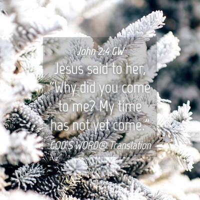 Picture 04 - John 2:4 GW - Jesus said to her, “Why did you come to me? My - Bible Verse Picture