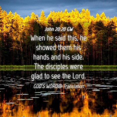 Picture 04 - John 20:20 GW - When he said this, he showed them his hands and - Bible Verse Picture
