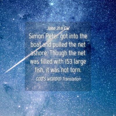 Picture 04 - John 21:11 GW - Simon Peter got into the boat and pulled the net - Bible Verse Picture