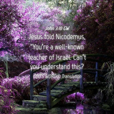 Picture 04 - John 3:10 GW - Jesus told Nicodemus, “You’re a well-known - Bible Verse Picture