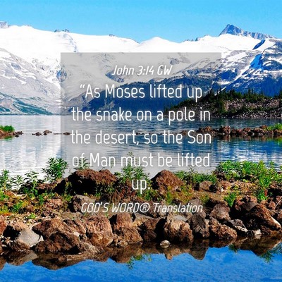 Picture 04 - John 3:14 GW - “As Moses lifted up the snake on a pole in the - Bible Verse Picture