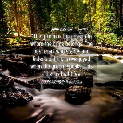 Picture 04 - John 3:29 GW - “The groom is the person to whom the bride - Bible Verse Picture