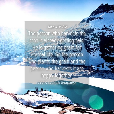 Picture 04 - John 4:36 GW - The person who harvests the crop is already - Bible Verse Picture