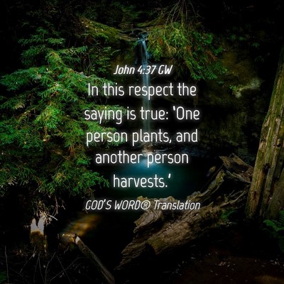 Picture 04 - John 4:37 GW - In this respect the saying is true: ‘One person - Bible Verse Picture
