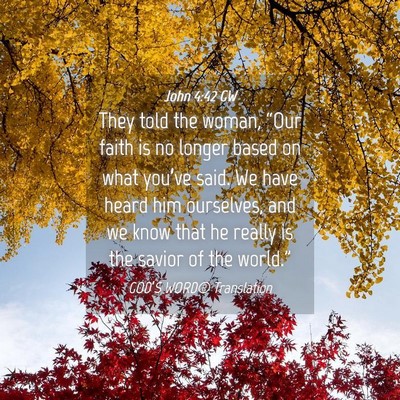 Picture 04 - John 4:42 GW - They told the woman, “Our faith is no longer - Bible Verse Picture