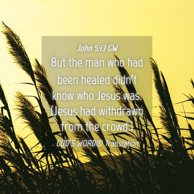 Picture 04 - John 5:13 GW - But the man who had been healed didn’t know who - Bible Verse Picture