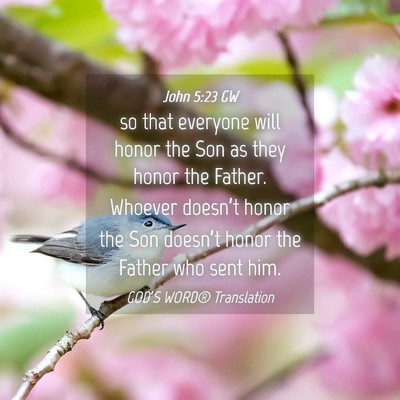 Picture 04 - John 5:23 GW - so that everyone will honor the Son as they honor - Bible Verse Picture